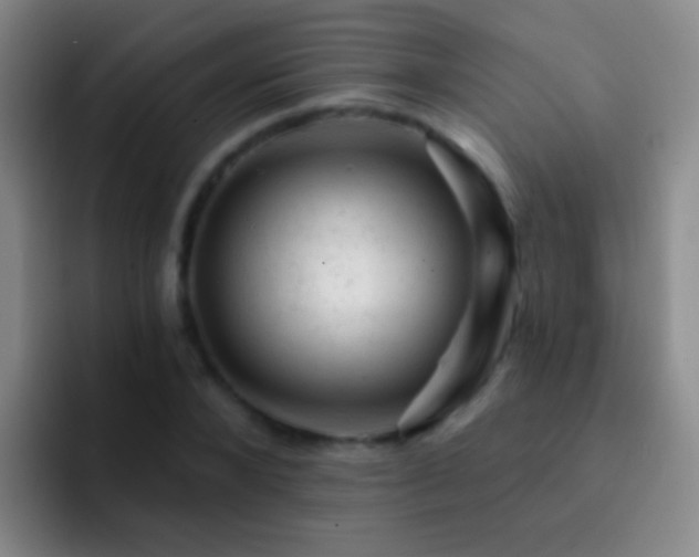 X0000092300880200709211229