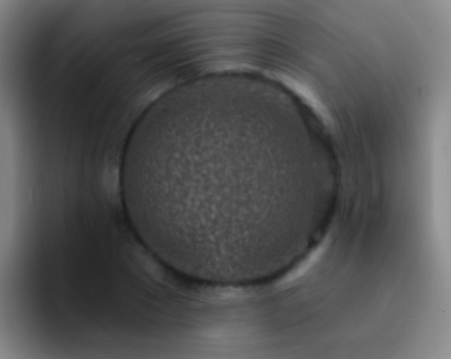 X0000092300881200709211229