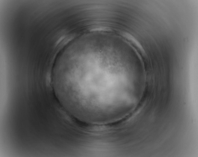 X0000092300882200709211229