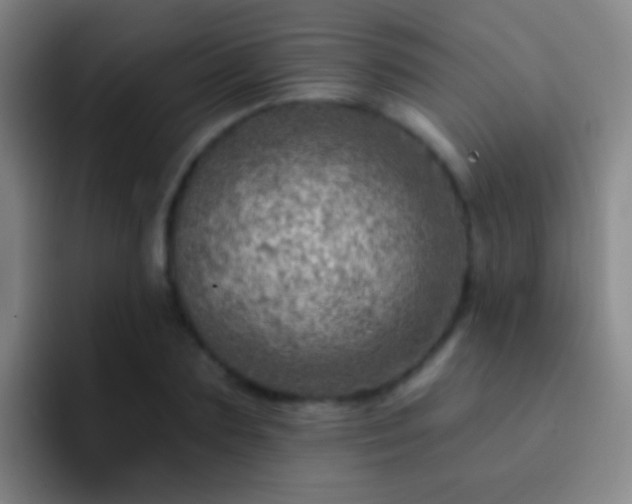 X0000092300883200709211229