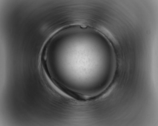X0000092300884200709211229