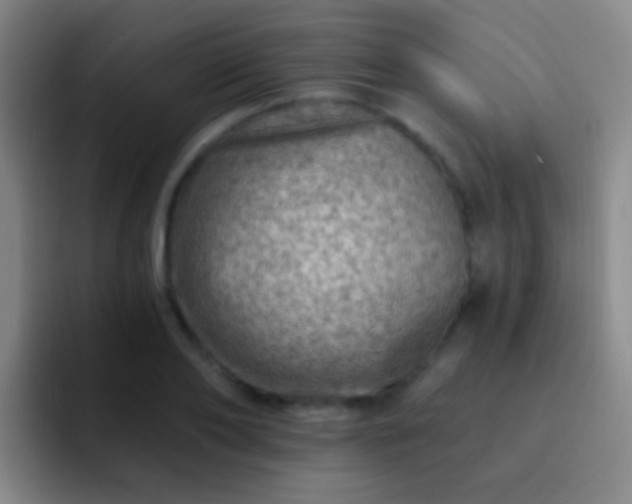 X0000092300886200709211229