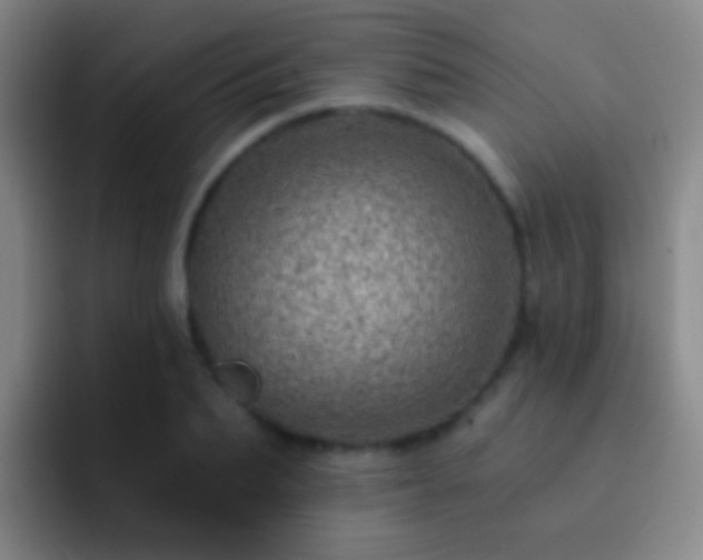 X0000092300887200709211229