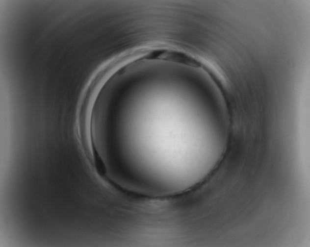 X0000092300888200709211229