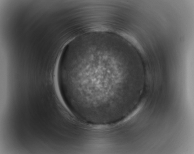 X0000092300889200709211229