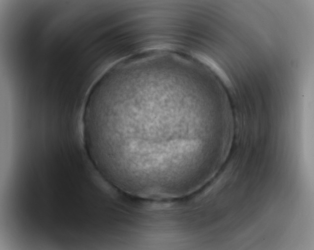X0000092300890200709211229