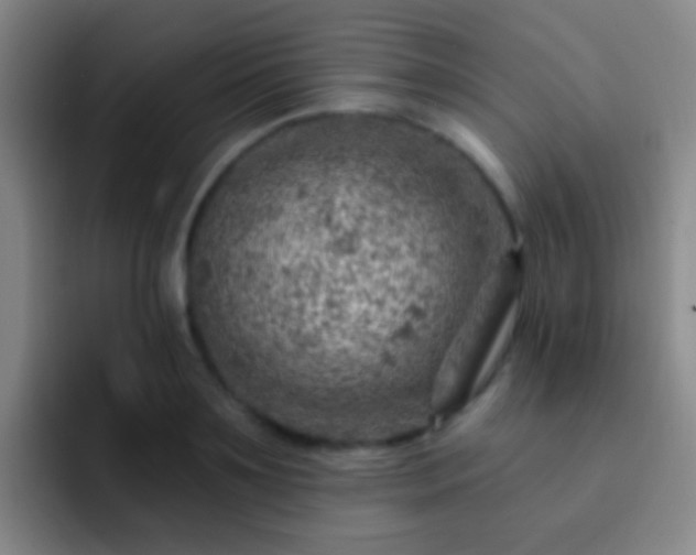 X0000092300891200709211229