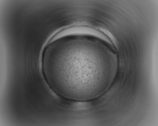 X0000092300894200709211229
