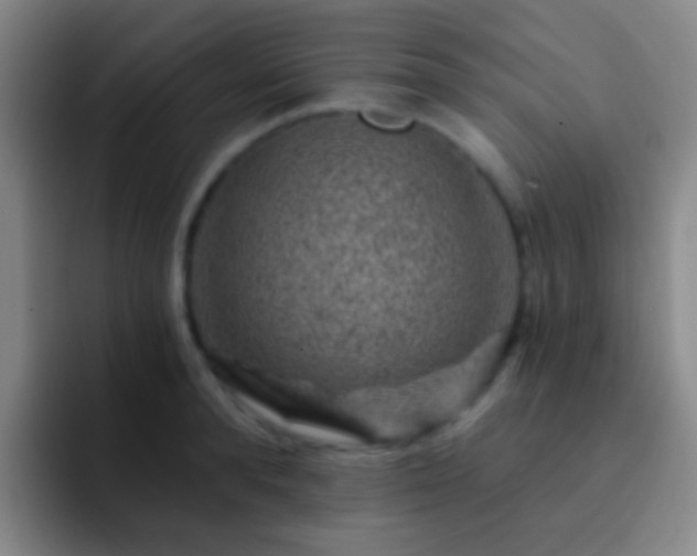 X0000092300896200709211229