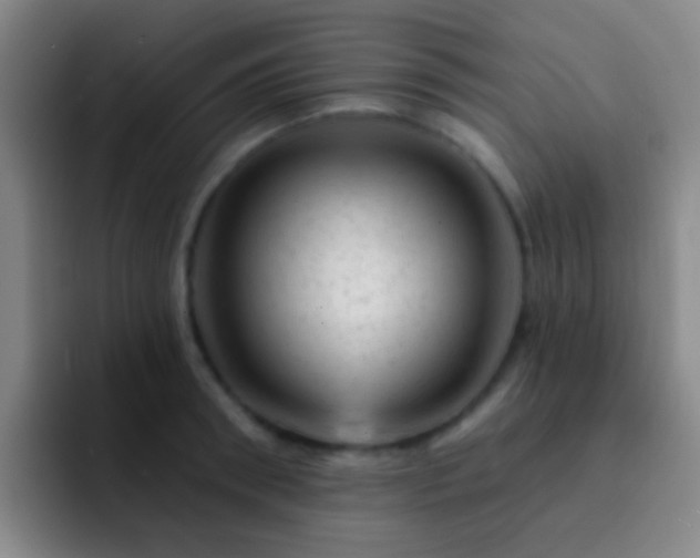 X0000092300898200709211229