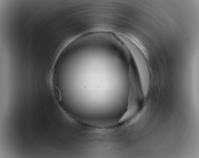 X0000092300901200709211229