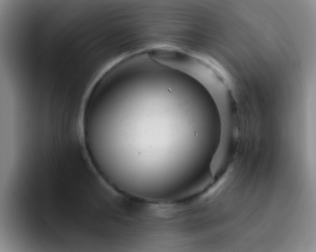 X0000092300902200709211229