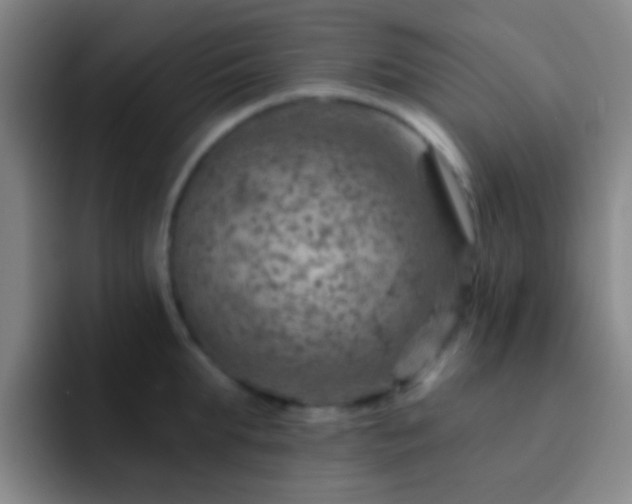 X0000092300903200709211229