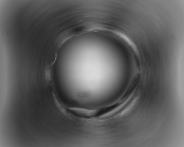 X0000092300905200709211229