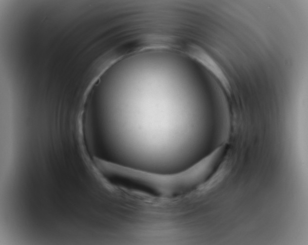 X0000092300906200709211229