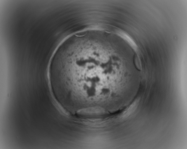 X0000092300907200709211229