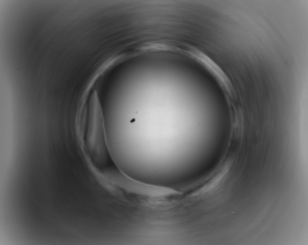 X0000092300909200709211229