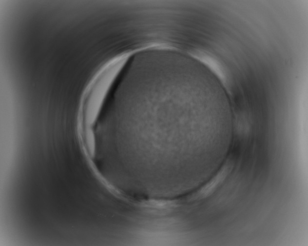 X0000092300910200709211229