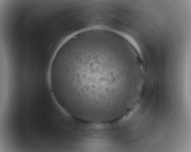 X0000092300911200709211229