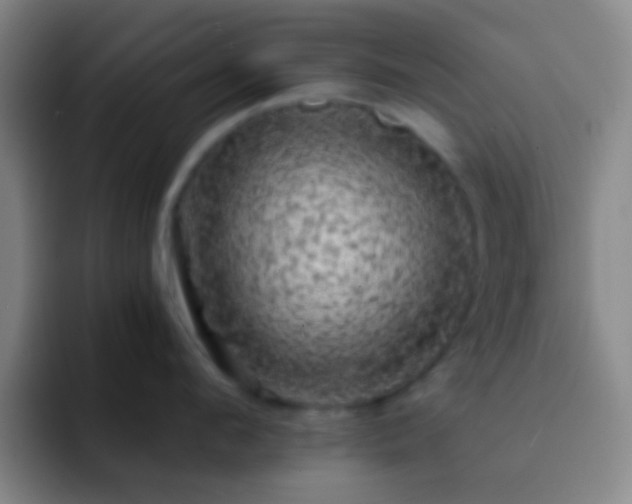 X0000092300912200709211229