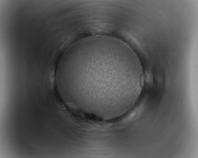 X0000092300915200709211228