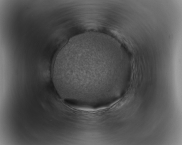 X0000092300916200709211228