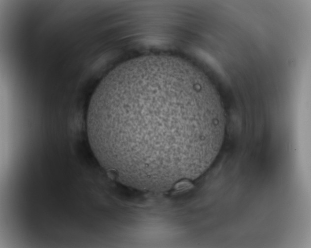 X0000092300918200709211228