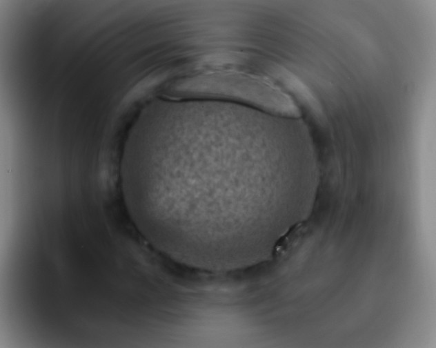 X0000092300920200709211228