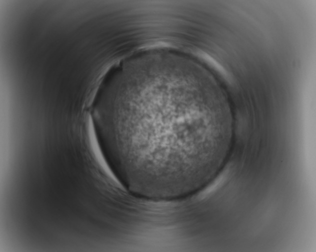 X0000092300921200709211228