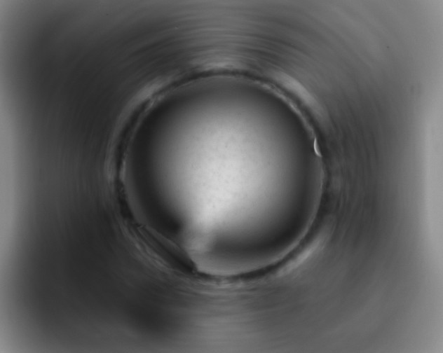 X0000092300922200709211228
