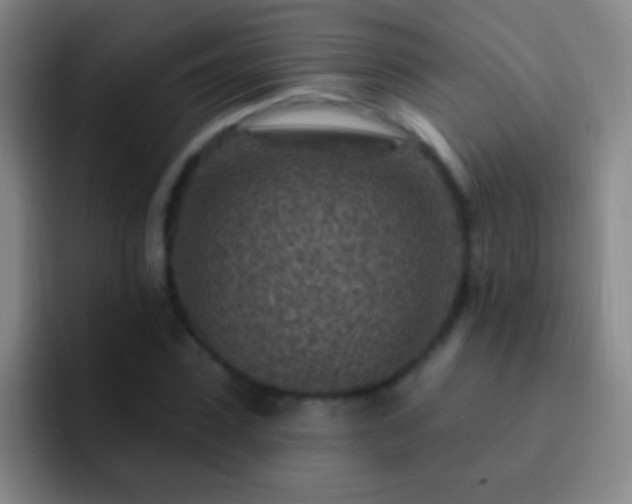 X0000092300923200709211228