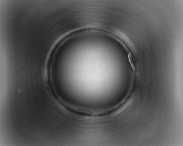 X0000092300924200709211228