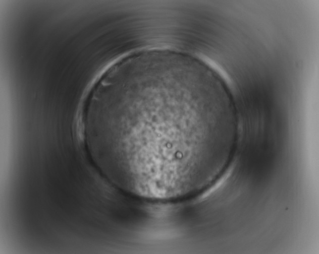 X0000092300925200709211228