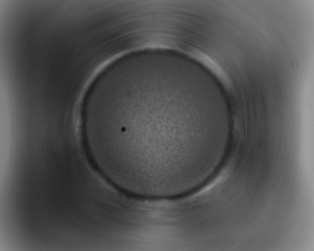 X0000092300926200709211228