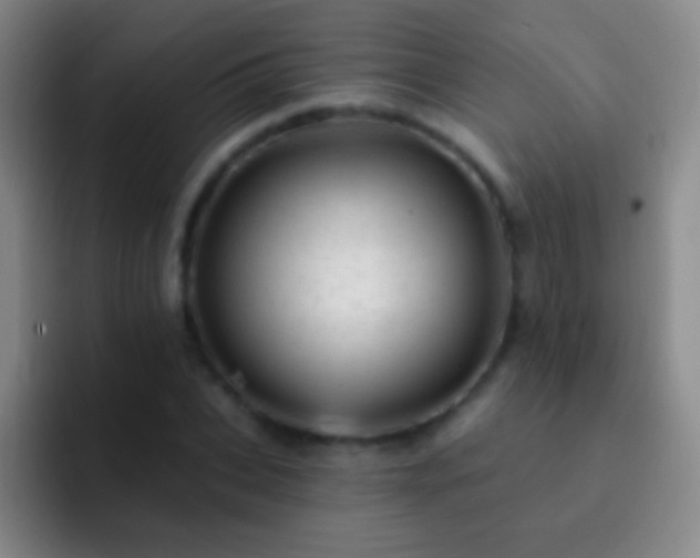 X0000092300927200709211228