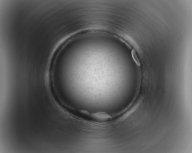 X0000092300928200709211228
