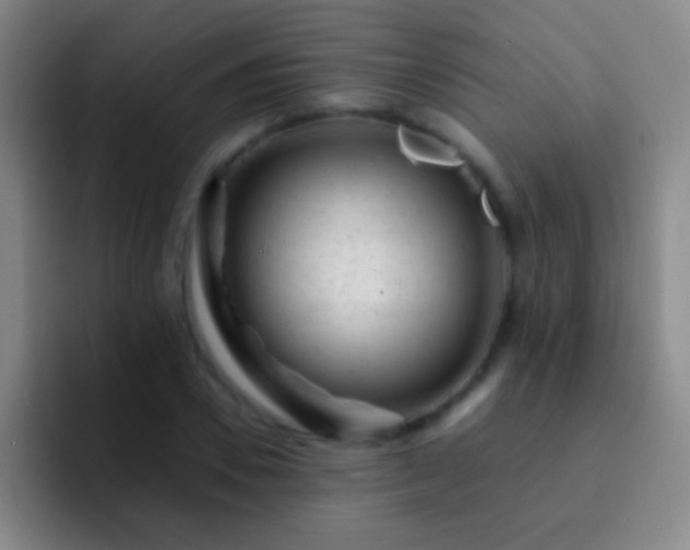 X0000092300930200709211228