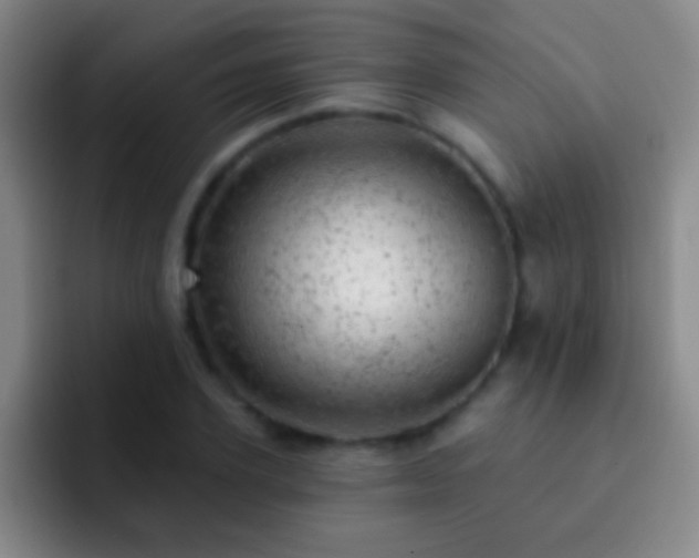 X0000092300931200709211228