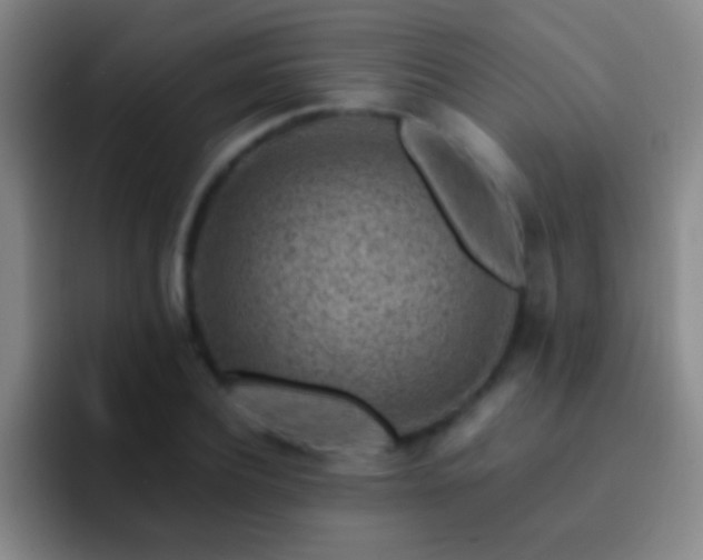 X0000092300932200709211228