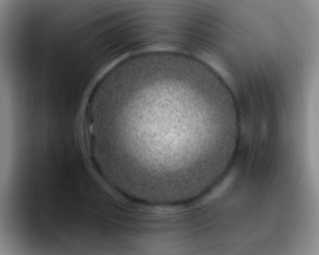 X0000092300933200709211228