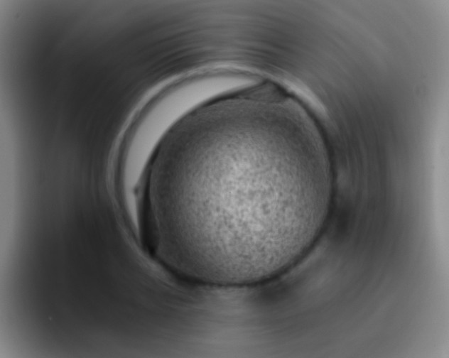 X0000092300934200709211228