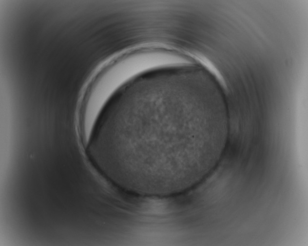 X0000092300935200709211228