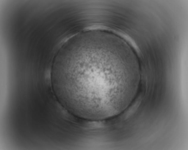 X0000092300937200709211228