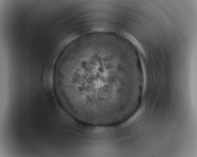 X0000092300938200709211228