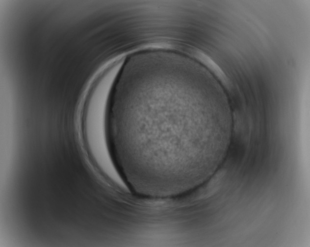 X0000092300939200709211228