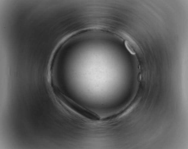 X0000092300940200709211228