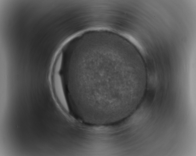 X0000092300943200709211229