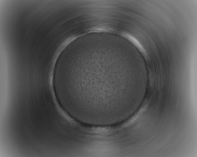 X0000092300946200709211229