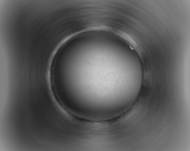 X0000092300947200709211229