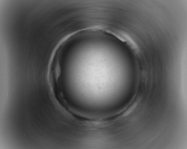 X0000092300948200709211229